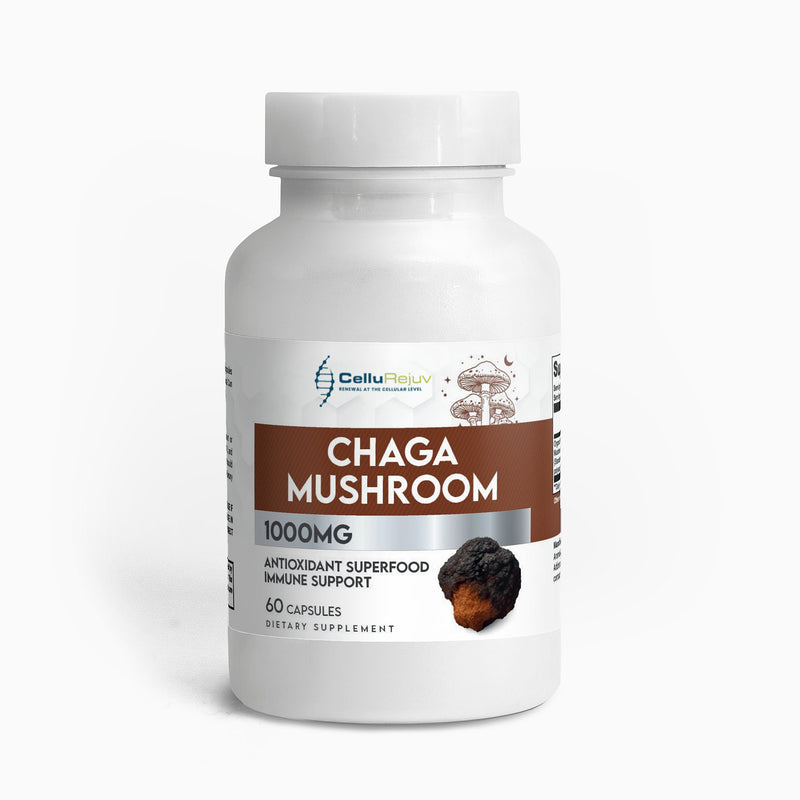Chaga Mushroom