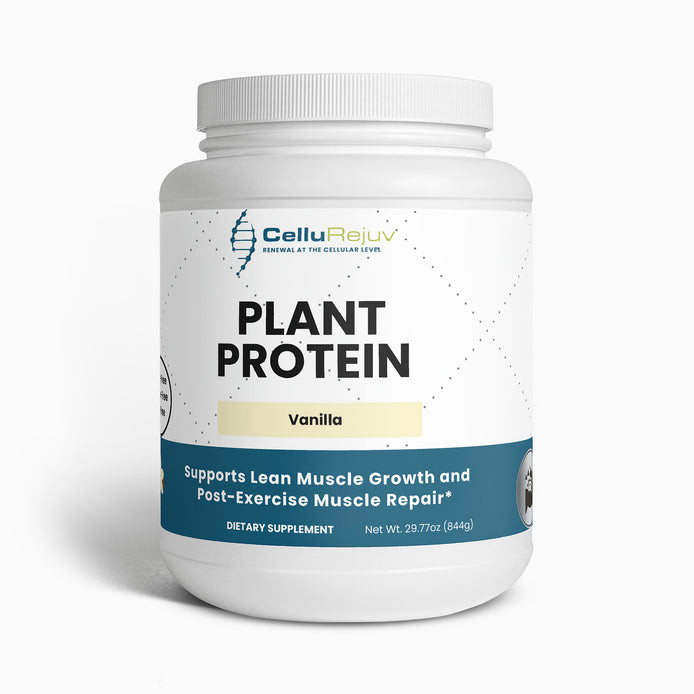 Plant Protein (Vanilla)