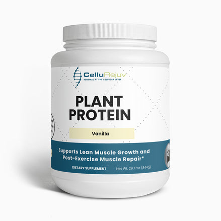 Plant Protein (Vanilla)