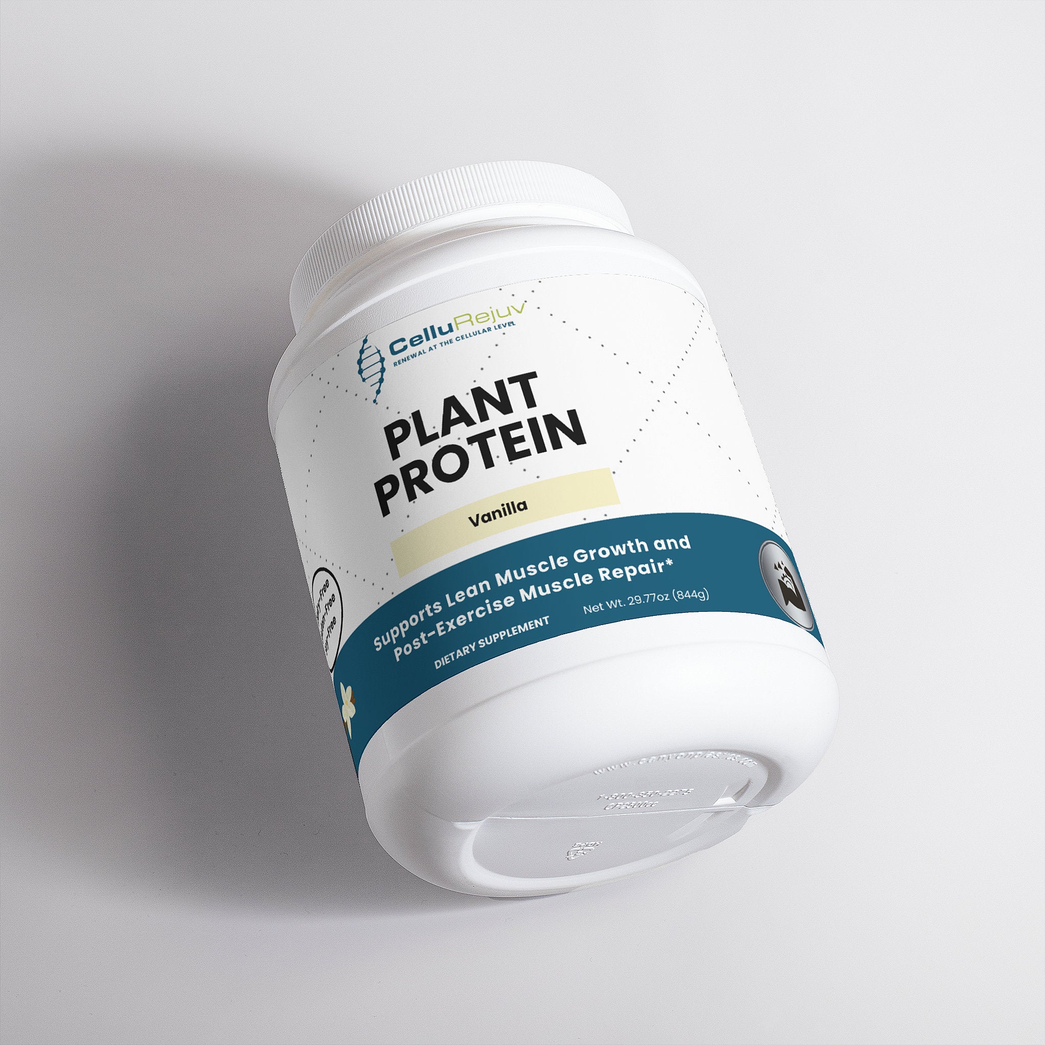 Plant Protein (Vanilla)