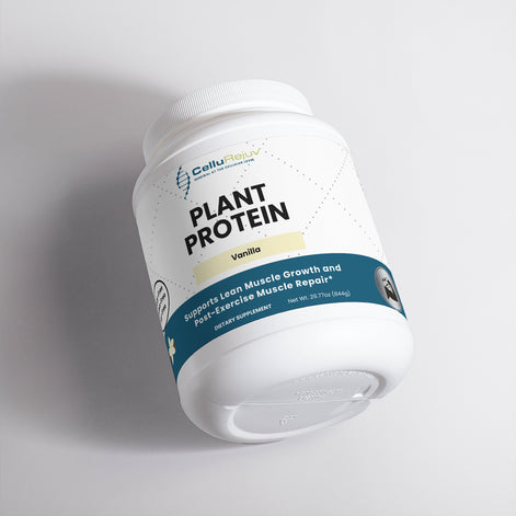 Plant Protein (Vanilla)