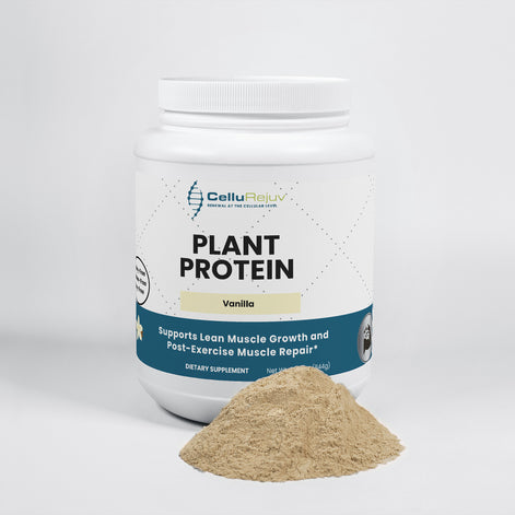 Plant Protein (Vanilla)