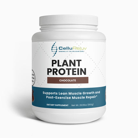 Plant Protein (Chocolate)