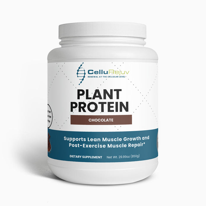 Plant Protein (Chocolate)