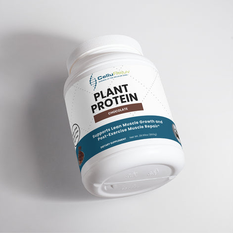 Plant Protein (Chocolate)