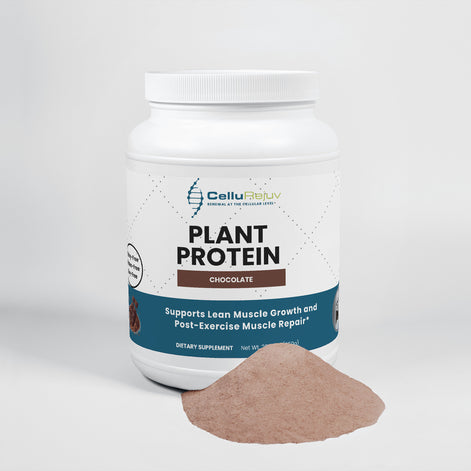 Plant Protein (Chocolate)