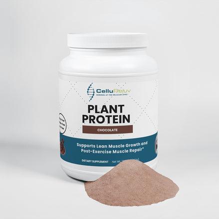 Plant Protein (Chocolate)